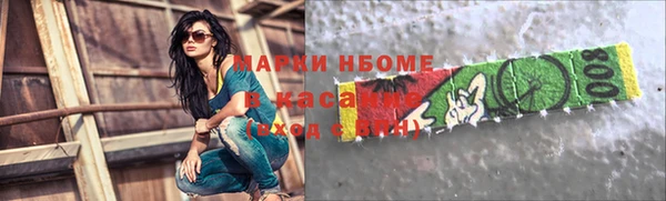 гидра Майский