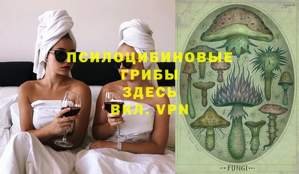 PSILOCYBIN Абаза