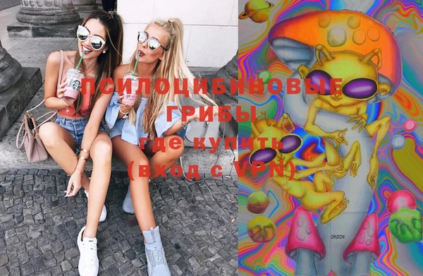 ПСИЛОЦИБИНОВЫЕ ГРИБЫ Абдулино