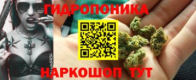 молекула духа Тверь