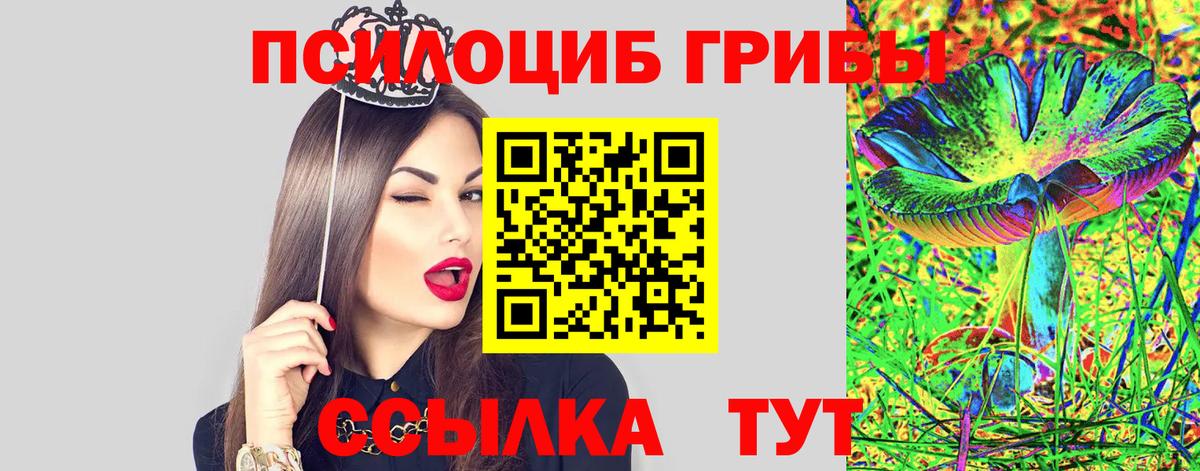 Серпухов  Галлюциногенные грибы Psilocybe  Вход с VPN 