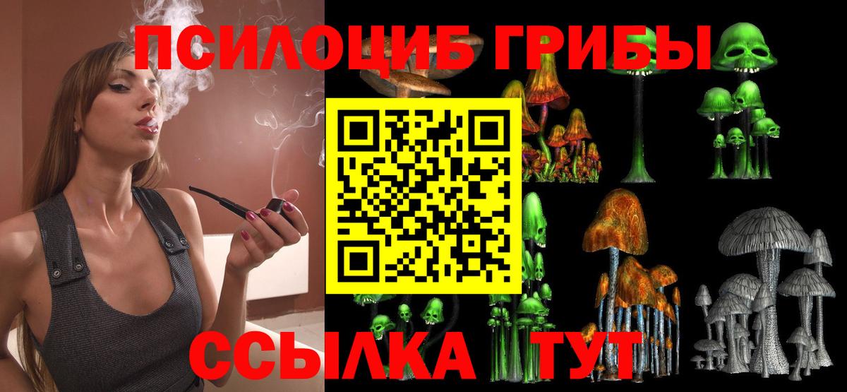Псилоцибиновые грибы мухоморы Серпухов